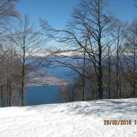 Magnolia Bb, Maggiore Massino Visconti