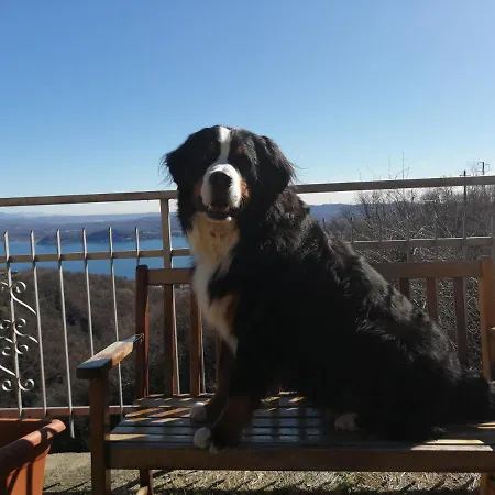 Magnolia Bb, Maggiore 마씨모비스꼰띠