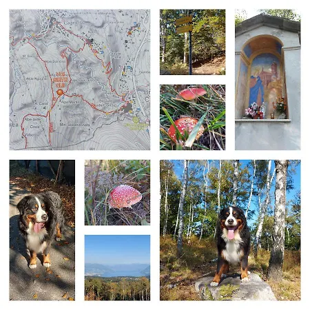 Magnolia Bb, Maggiore Bed & Breakfast 3*