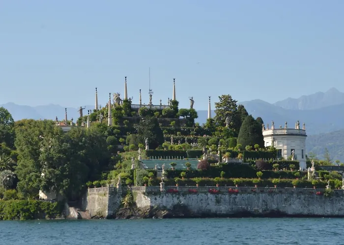 Magnolia Bb, Maggiore