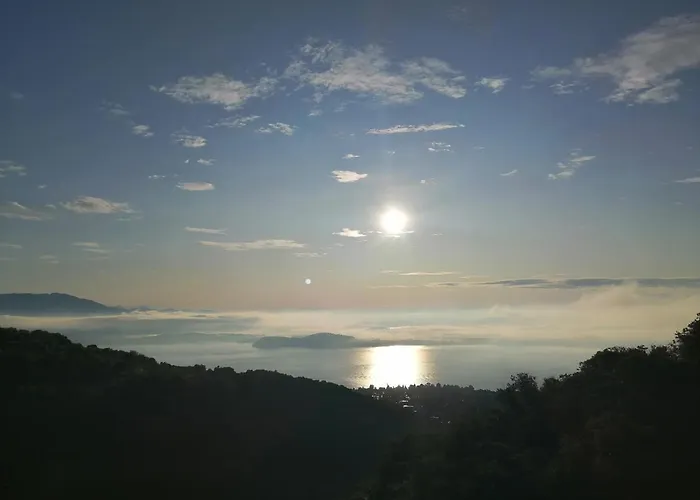 Magnolia Bb, Maggiore Massino Visconti