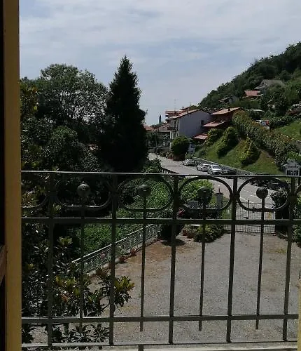 Magnolia Bb, Maggiore Massino Visconti