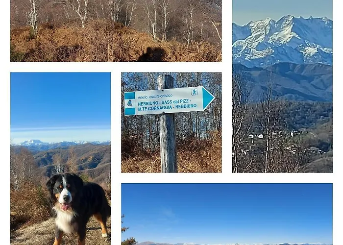 Bed & Breakfast Magnolia Bb, Maggiore Massino Visconti