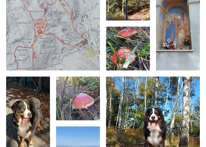 Magnolia Bb, Maggiore Bed & Breakfast 3*